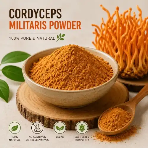 Why does Cordyceps militaris make me sleepy?